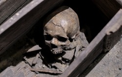 Skull and bones in ruined wooden coffin
