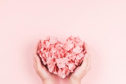 Hands holding bouquet of pink heart shaped hydrangea flower on pink background.
