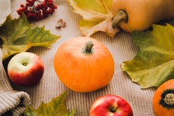 
Autumn seasonal harvest. Fruits and vegetables background. Close-up of pumpkin, red apples and rowan berries. Autumn food background. 
