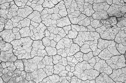 Dry, cracked earth
