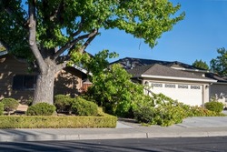 Dangerous fallen tree branch in residential neighborhood.  Causes can include a storm, hot dry environment, or that the branch extends further than the trunk can support and should have been trimmed