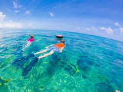 Snorkelling in Key West - Florida Marine Sanctuary 