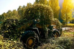 An abandoned agricultural tractor is covered with vegetation