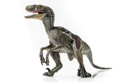 Velociraptor, plastic figurine on white background