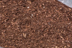 dry bark mulch ground's fragment as a garden concept background composition