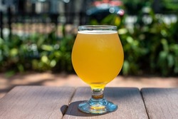 A small sample glass of pale ale craft beer. The liquid has a yellow tint. A clear beer glass sits on the edge of a wooden table at a microbrewery. The background has green garden shrubs.