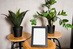 Black design room with mock up photo frame,tropical leaf and office accessories. Modern and stylish black interior. High quality photo