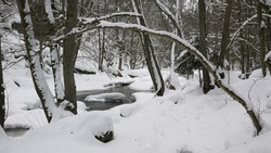 river aist in the austrian valley aisttal near pregarten in winter