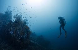 Diver in the ocean, Amed, Bali
