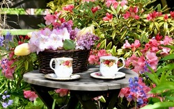 Simple elegant garden tea and flowers for Mother's Day or spring celebration