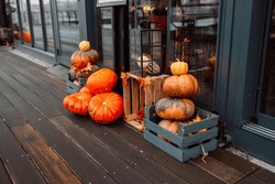 Decorative pumpkins, Halloween decor. Shop ornament with gourd, orange pumpkin. Halloween pumpkin. Pumpkin decor.