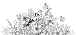 Hand drawn goldfinch sitting among wildflowers and flying butterflies. Black and white illustration with bird, flowers and insects. Vector monochrome elegant floral arrangement in vintage style.