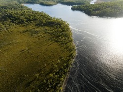 Aerial top down footage of a windy river, in the Tasmania wilderness. Lake with a Sandy beach and trees in Australia
