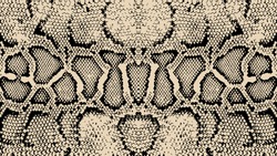texture pattern black white snake