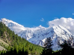  Nanga Parbat the ninth highest mountain in the world at 8,126m from the Fairy meadows .       
