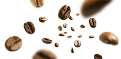 Coffee beans in flight on white background