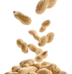 Peanuts in the shell levitate on a white background