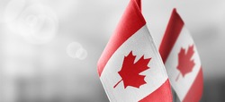 Small national flags of the Canada on a light blurry background