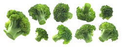 A set of broccoli. Isolated on a white background