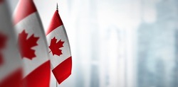 Small flags of Canada on a blurry background of the city