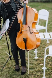 Girl cellist holding a cello, double bass in her hands, standing on the green grass after the concert.