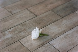 One white rose flower lies on the floor, tiles close-up.