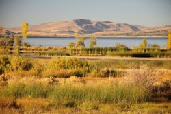 The golden hour decends on a fall afternoon in Washoe Valley, Northern Nevada between Reno and Carson City. A view of Washoe Lake, a distant mountain range, wetlands and desert sage brush.