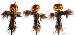 halloween pumpkin scarecrow isolated on white background.
