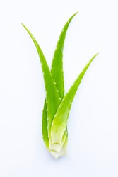 Aloe vera fresh leaves on white background.  