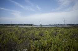 windturbine farm at kalpitiya lagoon sri lanka