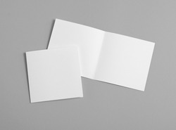 Identity design, corporate templates, company style, set of booklets, blank white folding paper flyer