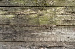 Wood background texture. Old wooden fence background.