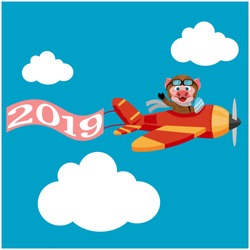 Piggy pilot on the plane and the developing flag by 2019.