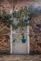 Exterior security gate with vines to an entrance of a building