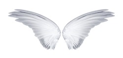 White Angel Wings - Free Stock Photo by Eric on Stockvault.net