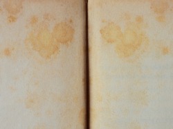 old vintage brown paper of the book with mold 