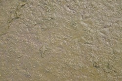 mud texture