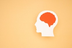 A brain shape made from paper on a light orange background. Awareness of Alzheimer's, Parkinson's, dementia, stroke, seizure, or mental health. Neurology and Psychology care. Top view