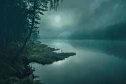 
full moon on a mystical forest lake at night