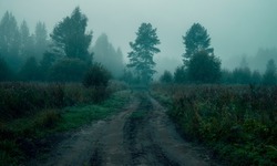 Rural road in the fog before dawn in the forest. Scary atmosphere of Halloween and sleepy hollow