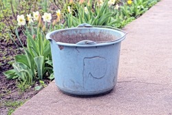 one old blue dirty plastic bucket with cracks stands on gray asphalt in the street near green vegetation
