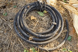 a coil of old black plastic dirty hose lies on the gray ground on the street