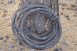 a coil of old black plastic dirty hose lies by the pine tree on the street