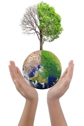 Hand holding change tree forest drought and forest refreshing on globe isolated on white background. Ecology concept Half alive and half dead tree standing at the crossroads. world image by NASA