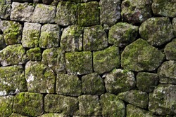 Moss rock wall in Japan
