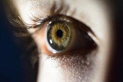 Macro Of Green Female Eye Iris