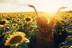 Back up view of joyful young woman raising hands up and enjoy warm sunny weather outside. Look up in sky. Stand alone in middle of big sunflower's field. August or September period. Harvest time
