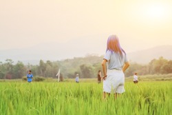 Soft light and Smooth,Young women are enjoying walking in the grasslands alone in the evening to wait to see the sunset that is hiding.
Beautiful green rice fields on the sky background in the evening