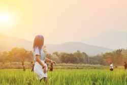 Soft light and Smooth,Young women are enjoying walking in the grasslands alone in the evening to wait to see the sunset that is hiding.
Beautiful green rice fields on the sky background in the evening
