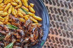 Crispy insects are served in black ceramic plates placed on tables made of steel grates, and fried insects are a popular food paired with alcoholic beverages as they are easy to find and very popular
